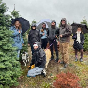 Alpine U-Cut - Christmas Trees Near Me - Bremerton, Washington