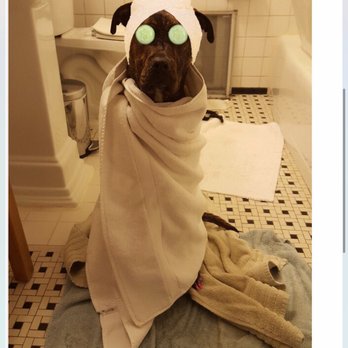 Salon Azzurro - If Tesla recognizes her need to get a facial, shouldn't you? See Veni at Salon Azzurro 609-924-1200 - Hair Salons Near Me - Rocky Hill, New Jersey Salon Azzurro - If Tesla recognizes her need to get a facial, shouldn't you? See Veni at Salon Azzurro 609-924-1200 - Hair Salons Near Me - Rocky Hill, New Jersey