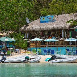 Caribbean Blue Boat Charters - Dingy's Beach Bar, Water Island