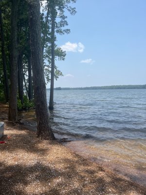 Dreher Island State Park by null