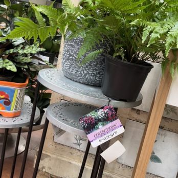 Blackhawk Hardware - Nurseries & Gardening Near Me - Charlotte, North Carolina