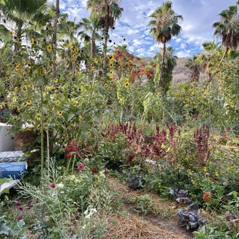 Flora's Farm - Gardens - Farmers Market Near Me - Ánimas Bajas, BCS