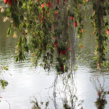 Palm Lake Park - Parks Near Me - Fort Pierce, Florida