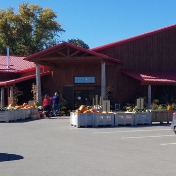 Willow Tree Farms - Farmers Market Near Me - Port Perry, Ontario Willow Tree Farms - Farmers Market Near Me - Port Perry, Ontario