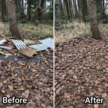 Sloth Junk Removal - Junk Removal & Hauling Near Me Sloth Junk Removal - Junk Removal & Hauling Near Me