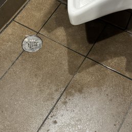 Not what you want to see. Disgusting large puddle in the men's room Not what you want to see. Disgusting large puddle in the men's room