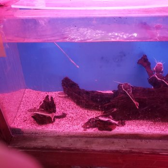 Total Fish & Pets - Pet Stores Near Me - Alhambra, California