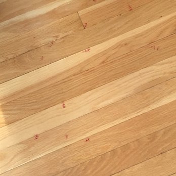 Beautiful Dogs - just a few of the bloody paw prints after getting her nails trimmed. They were all over both floors of my house. - Pet Groomers Near Me - Pembroke, Massachusetts Beautiful Dogs - just a few of the bloody paw prints after getting her nails trimmed. They were all over both floors of my house. - Pet Groomers Near Me - Pembroke, Massachusetts