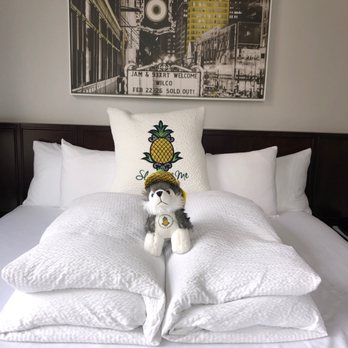 Staypineapple, An Iconic Hotel, The Loop - Greeted by this guy - Hotels Near Me - Chicago, Illinois