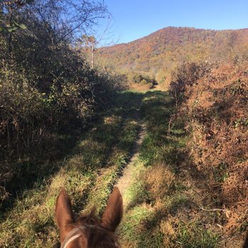 The Marriott Ranch Bed and Breakfast - Hotels Near Me - Hume, Virginia