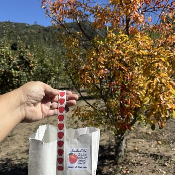Ranchita Del Reo - Pick Your Own Farms Near Me - Julian, California Ranchita Del Reo - Pick Your Own Farms Near Me - Julian, California