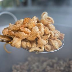 Carnitas Y Chicharrones “El Gallo” - Botanero