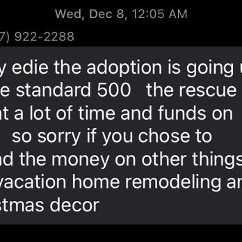 Caring Songs Rescue - Pet Adoption Near Me Caring Songs Rescue - Pet Adoption Near Me