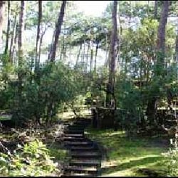 Camping Club d'Arcachon