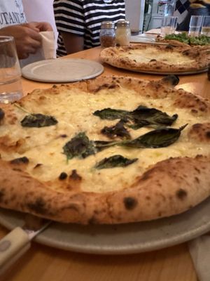 Harlow's Pizza by null