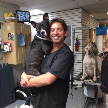 Pampered Paws Hotel and Spa - Pretty baby #yoda - Pet Sitting Near Me - Spring Valley, New York Pampered Paws Hotel and Spa - Pretty baby #yoda - Pet Sitting Near Me - Spring Valley, New York