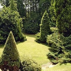 Best Western Grimsby Oaklands Hall Hotel - a bit of the gardens