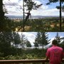 Photo of Tolleson Family Tree Care