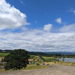 Tesla Custom Winery Tours