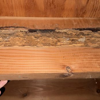 Affordable Pest Management - Termite damage to support beam - Pest Control Near Me - Kokomo, Indiana Affordable Pest Management - Termite damage to support beam - Pest Control Near Me - Kokomo, Indiana