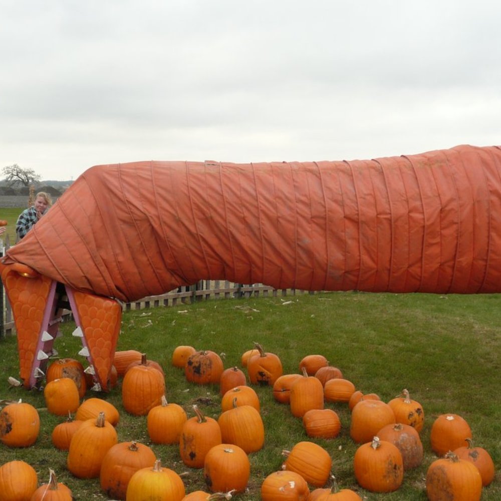 Goebbert's Farm - Pumpkin Patches Near Me - Pingree Grove, Illinois