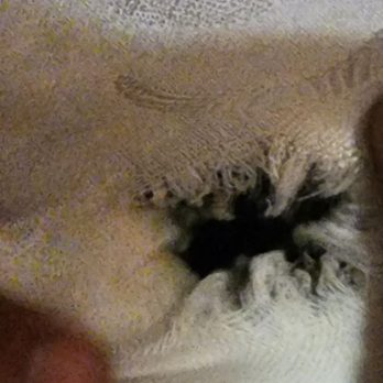 motel 6 - Hole with bugs in the 2nd room - Hotels Near Me - Apache Junction, Arizona