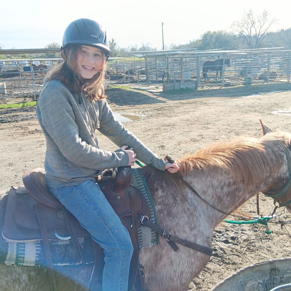 Shadow Glen Family Stables - Horseback Riding Near Me - Fair Oaks, California Shadow Glen Family Stables - Horseback Riding Near Me - Fair Oaks, California