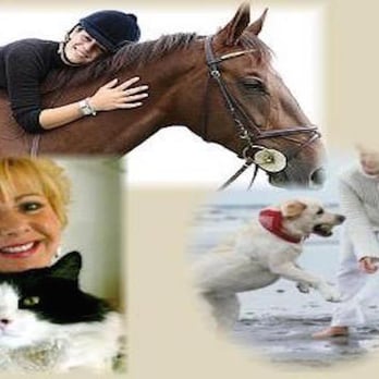 Petland Cemetery - Pet Services Near Me - Aberdeen, Washington Petland Cemetery - Pet Services Near Me - Aberdeen, Washington