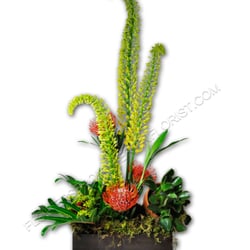 Flowers From the Rainflorist - Beautiful tropical with protea, eremus, zandu and other tropical foliage. Hand DDelivered to any city in or near Fort Lauderdale