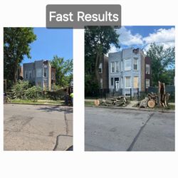 Discount Professional Tree Removal