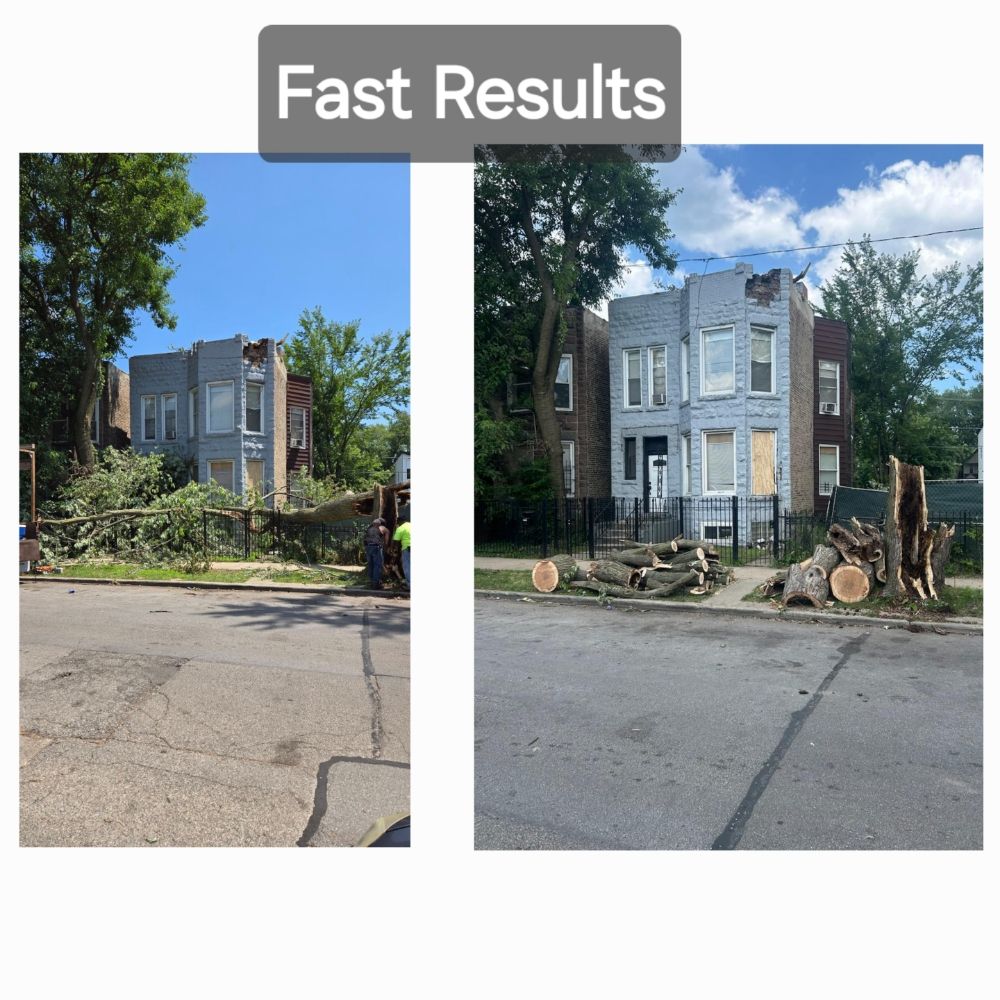 Discount Professional Tree Removal - tree service in Chicago, IL