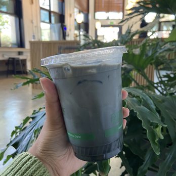 Red Bay Coffee - Iced Charcoal Latte - Cafes Near Me - Oakland, California