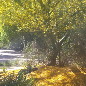 Arterra - This is another angle of photo #13 (driveway) 4 years later. - Landscape Architects or Designers Near Me