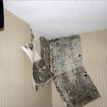 Clear Environmental Services - Mold hiding behind wallpaper. - Home Inspectors Near Me - Costa Mesa, California