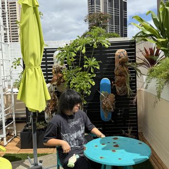 Cafe Lapin - Outdoor - Coffee & Tea Near Me - Honolulu, Hawaii