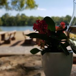 Weinprobierstand Hattenheim - Lecker...