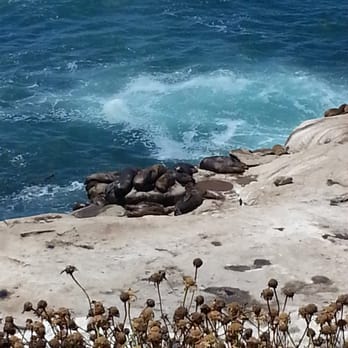La Jolla Cove - Parks Near Me - La Jolla, California La Jolla Cove - Parks Near Me - La Jolla, California