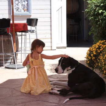 Big Dog Vineyards - Venues & Event Spaces Near Me - Milpitas, California