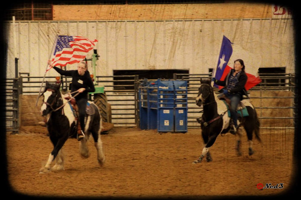 S Bar C Performance Horses - equestrian in Cedar Hill, TX