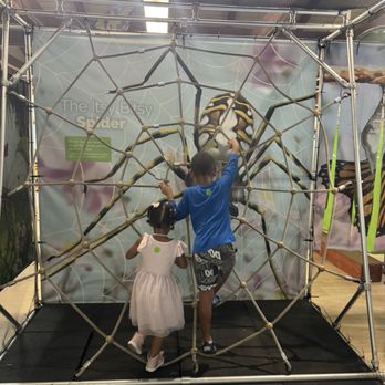 Flamingo Gardens - Spider web to climb - Botanical Gardens Near Me - Davie, Florida