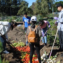 Mavin Learning Resources - Muir Ranch Volunteer