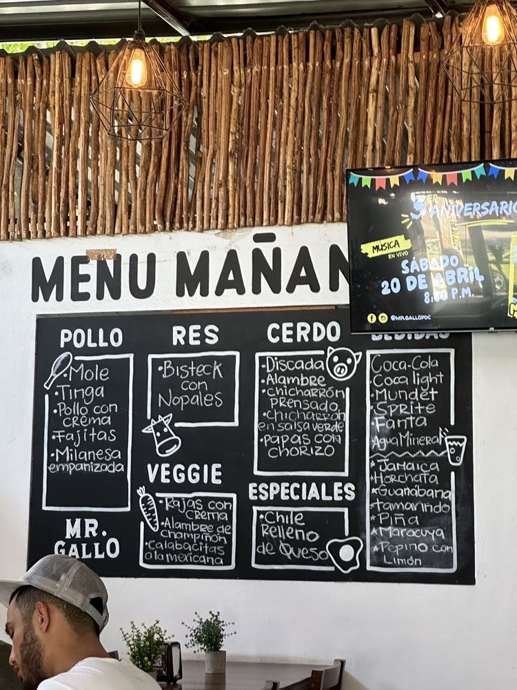 Taqueria El Gato