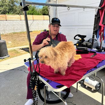 Paws n Pride Grooming - Penny - Pet Groomers Near Me - Inglewood, California Paws n Pride Grooming - Penny - Pet Groomers Near Me - Inglewood, California