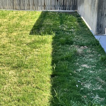 Clements Lawn Service - Landscaping Near Me