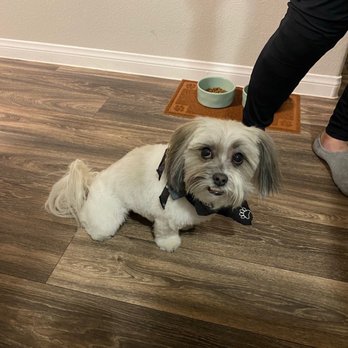 Groomingdales - Pet Groomers Near Me - Las Vegas, Nevada