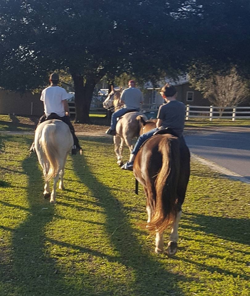 CLOVIS POINT STABLES Updated September 2024 5107 Grassy Pond Rd, Chipley, Florida