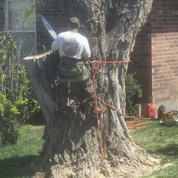 Tip Top Tree Service - Tree Services Near Me Tip Top Tree Service - Tree Services Near Me