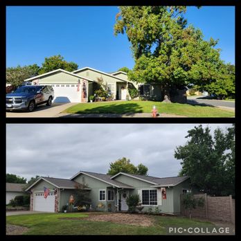 Bundy's Tree Service - Side-by-side photos of a single-story house with a green exterior, garage, and large trees, captured in different weather conditions. - Tree Services Near Me