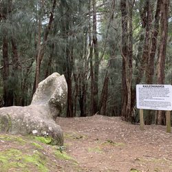Phallic Rock