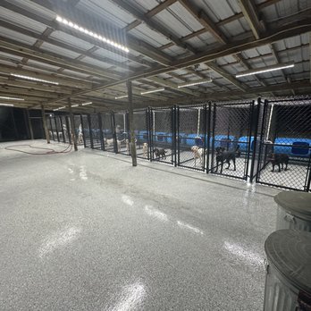 Sunshine Punchout - Dog kennel for dog training,16 kennels - Handyman Near Me Sunshine Punchout - Dog kennel for dog training,16 kennels - Handyman Near Me